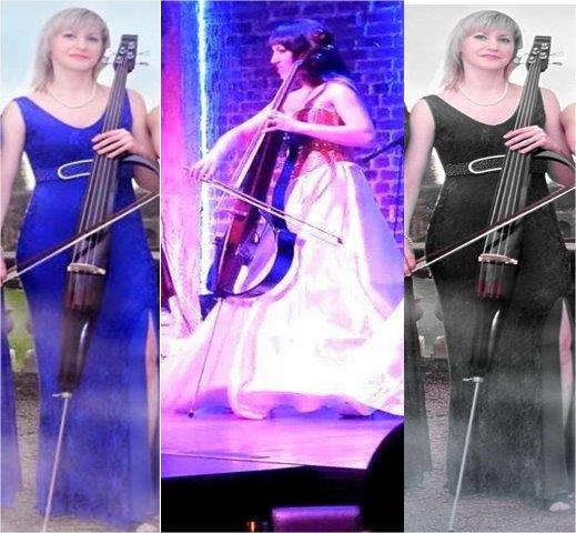cello artists faridabad