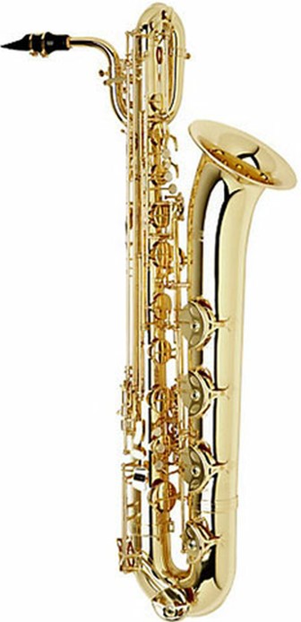 good saxophone on rent faridabad