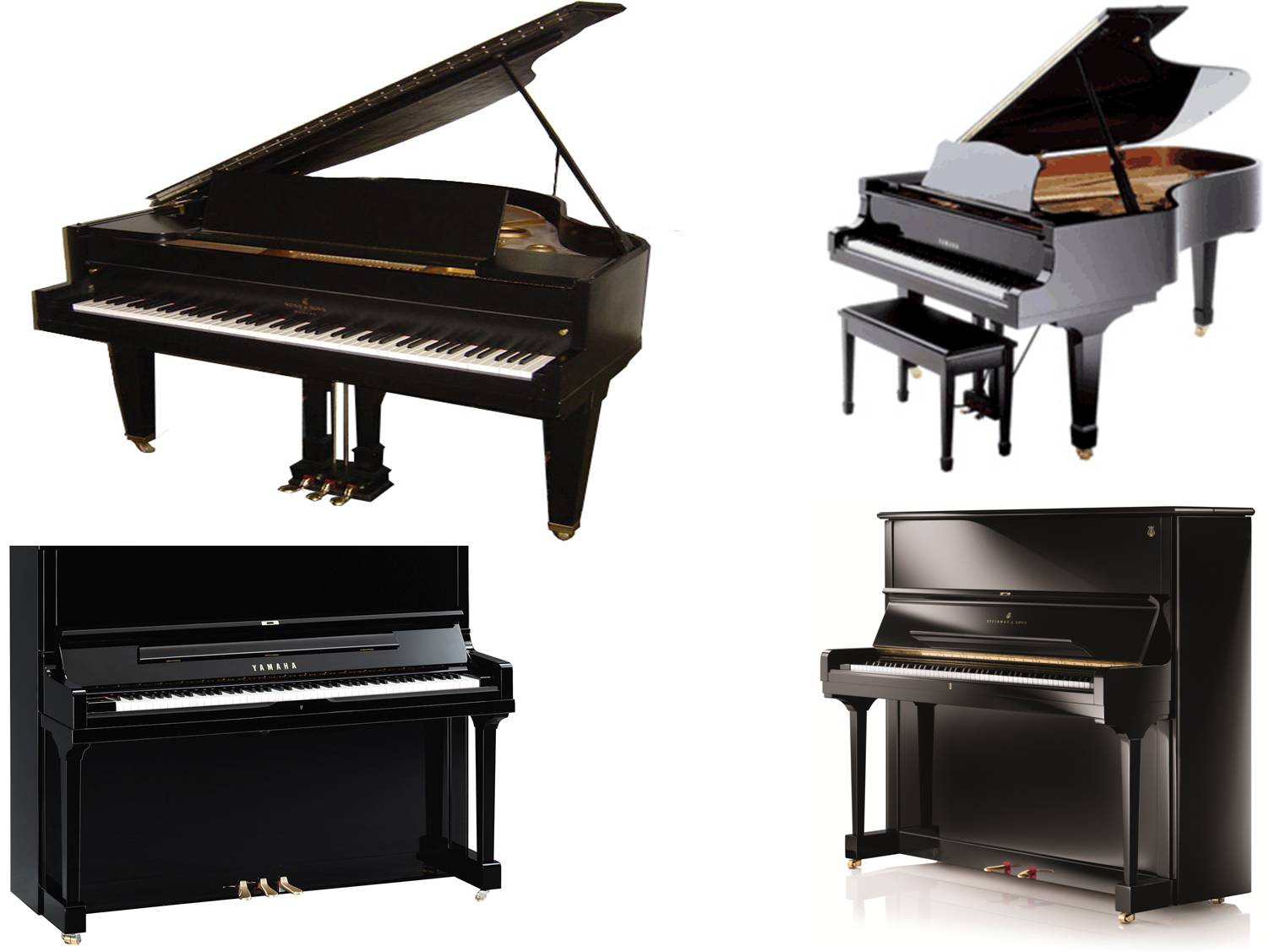 Grand Piano on rent in Faridabad
